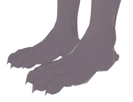 3D Custom Feet #1